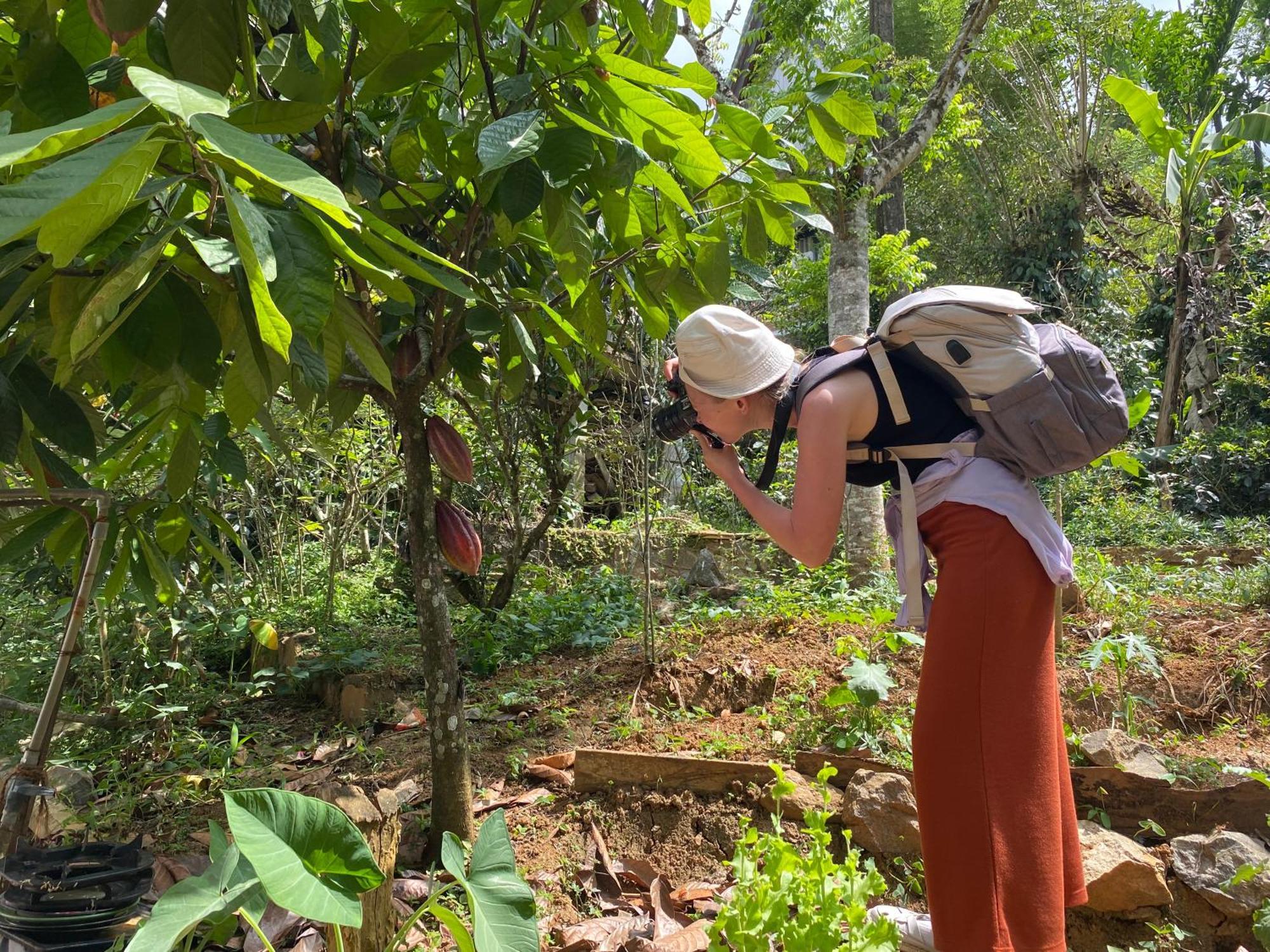Ella Nine Arch Spice Garden Hotel Buitenkant foto