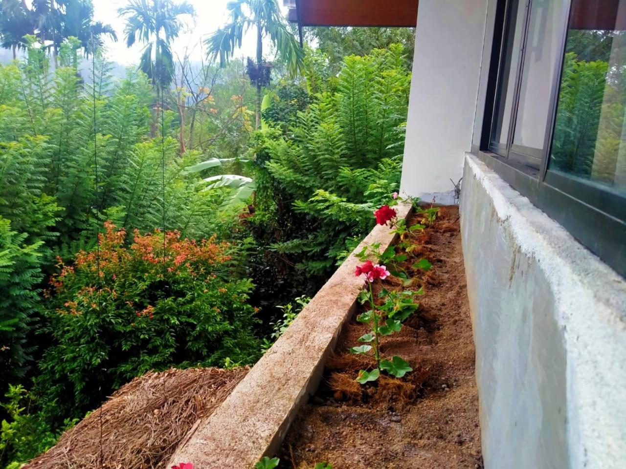 Ella Nine Arch Spice Garden Hotel Kamer foto