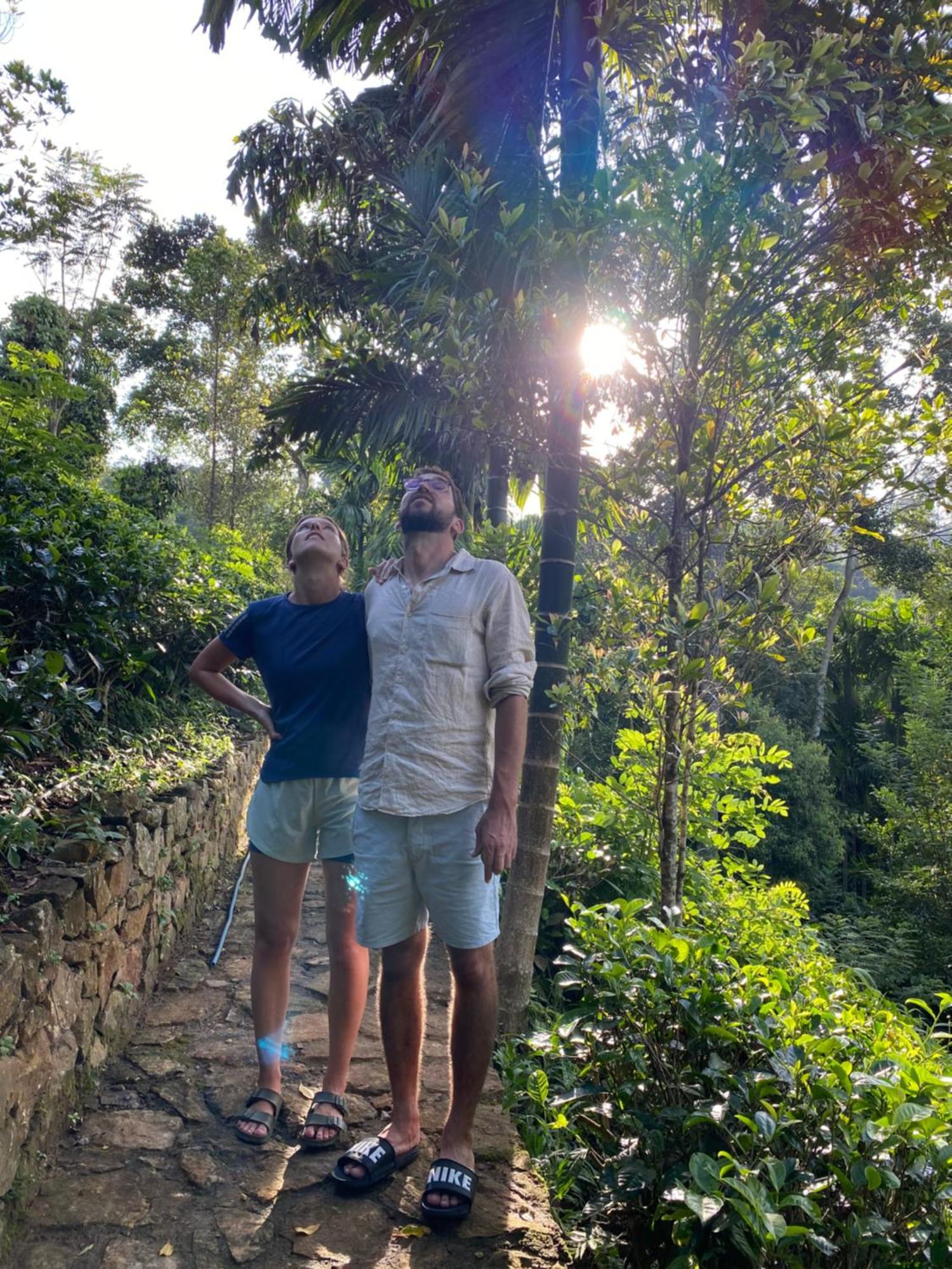 Ella Nine Arch Spice Garden Hotel Buitenkant foto